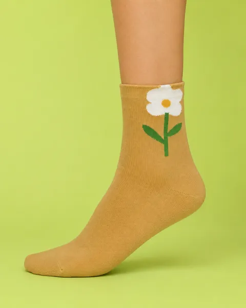 Lone Daisy